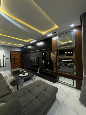 Luxury Two Bedrooms with Ps5, Pool and Gym, Ikate, Lekki, Lagos, Flat / Apartment Short Let