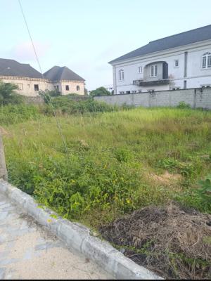 400sqm Premium Dry Land, Ajayi Apata, Sangotedo, Ajah, Lagos, Residential Land for Sale