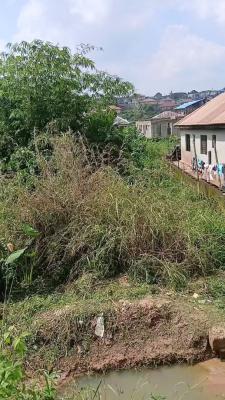 Urbanizing Half Plot of Land, Governor’s Road, Aboru, Ipaja, Lagos, Residential Land for Sale