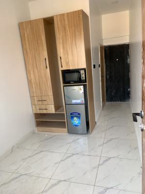 Studio Apartment Brand-new, Off Freedom Way, Lekki Phase 1, Lekki, Lagos, Self Contain (single Rooms) for Rent