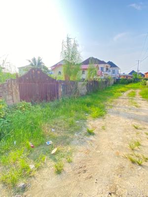Developers Delight! 1300sqm Fenced Land in a Built Up Estate, Thomas Estate, Ajah, Lagos, Residential Land for Sale