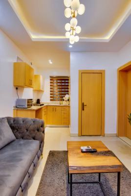 Luxury 1 Bedroom Apartment, Oniru, Victoria Island (vi), Lagos, Self Contain (single Rooms) Short Let