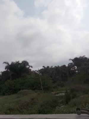 a Parcel of Land Measuring 8500sqm, Akodo Industrial Complex, Akodo Ise, Ibeju Lekki, Lagos, Commercial Land for Sale