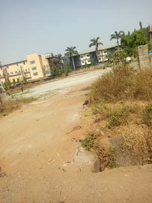 Distress 1500 Square Meters of Residential Land, Guzape District, Abuja, Residential Land for Sale