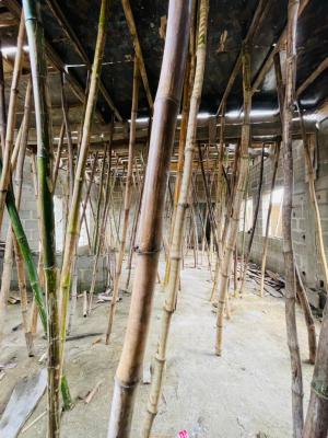 Architecturally Designed Offplan 4 Bedroom Detached Duplex, Surulere, Surulere, Lagos, Detached Duplex for Sale