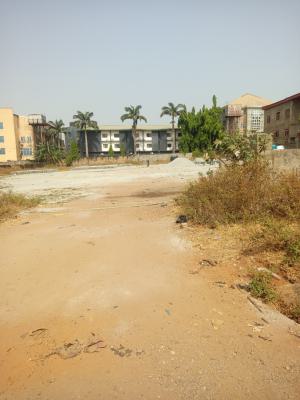 700sqm Residential Land C of O, Katampe (main), Katampe, Abuja, Land for Sale