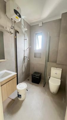 Brand New 4 Bedroom Terrace Duplex with Bq, Highly Affordable Serviced Family Home, Banana Island, Ikoyi, Lagos, Terraced Duplex for Sale