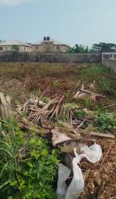 Land Measuring 1,600sqm, Royal Garden Estate, Ajiwe, Ajah, Lagos, Residential Land Joint Venture