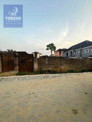 Full Plot of Land Available in a Serene Gated Estate, Fenced and Gated, Ajah, Lagos, Land for Sale