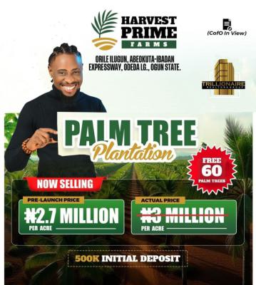 Palm Oil Farm Land Investment, Orile Ilegun, Abeokuta North, Ogun, Land for Sale