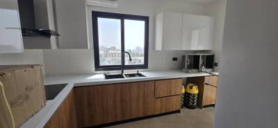 Luxury Brand New 4bedroom in a Serene Beautiful Environment, Banana Island, Old Ikoyi, Ikoyi, Lagos, Flat / Apartment for Rent