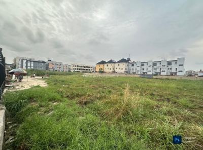 Well Fenced 3500sqm Dry Land (good Access Road), Ikate, Ikate Elegushi, Lekki, Lagos, Mixed-use Land for Rent