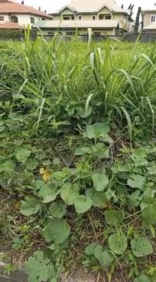 Main Vgc Estate Dry Land, Main Vgc, Vgc, Lekki, Lagos, Residential Land for Sale