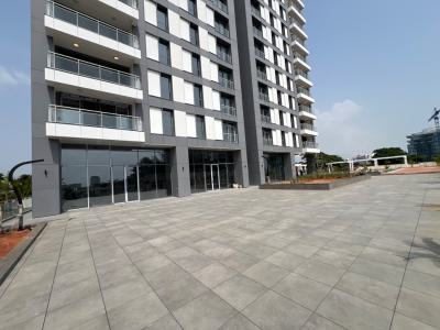 Luxury 2 Bedroom Apartment with Bq, Off Adeola Odeku, Victoria Island (vi), Lagos, Flat / Apartment for Rent