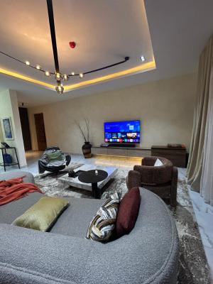 Luxury 2 Bedroom Apartment, Lekki Phase 1, Lekki, Lagos, Flat / Apartment Short Let