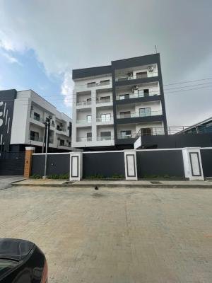 Distress Deal! Exquisite 2 Bedroom Apartment, Ikate, Lekki, Lagos, Flat / Apartment for Sale