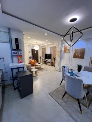 Unfurnished and Fully-serviced 2-bedroom Flat with Elevator, Swim Pool, Lekki Phase 1, Lekki, Lagos, Flat / Apartment for Rent