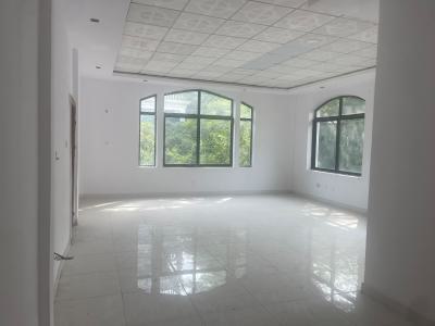 Newly Refurbished Spacious Mini Flat, Oluwanisola Estate, Lekki Expressway, Lekki, Lagos, Mini Flat (room and Parlour) for Rent