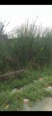 Land, Greenville Estate, Badore, Ajah, Lagos, Mixed-use Land for Sale