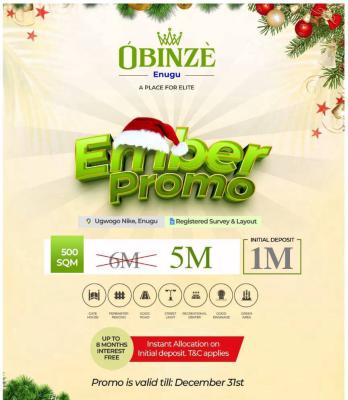 Buy and Build Plots, Pay N1m Have Your Instant Allocation at Obinze, Located in Ugwogo Nike, Enugu, Enugu, Land for Sale