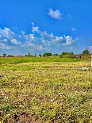 Next Generation Farm City, Building Generational Wealth Through Farm, Next Generation Farm City, Earn Passive Income Through Agriculture, Abeokuta South, Ogun, Mixed-use Land for Sale