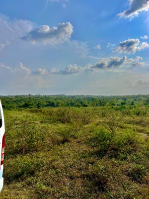 Secure a High‑yield, Sought‑after Farm That Pays You Every Year., Next Generation Farm City, Yearly Income Generating Farm Investment, Abeokuta South, Ogun, Mixed-use Land for Sale