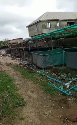 Half Plot of Dry Land, Awoyaya, Ibeju Lekki, Lagos, Mixed-use Land for Sale