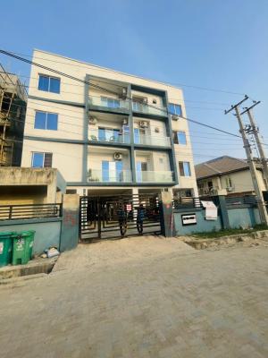 2 Bedroom Apartment, Ikate, Ikate, Lekki, Lagos, Flat / Apartment for Rent