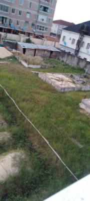 Joint Ventures, Before Chevron Round About, Lekki Phase 1, Lekki, Lagos, Flat / Apartment Joint Venture