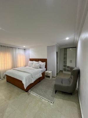 Fully Furnished 2bedroom Flat with Swimming Pool, Wuse 2, Abuja, House for Rent