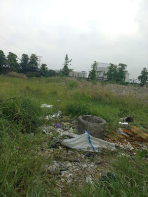 3,500sqm Open Space Land, Eleganza Mall Space, Vgc, Lekki, Lagos, Commercial Land for Rent