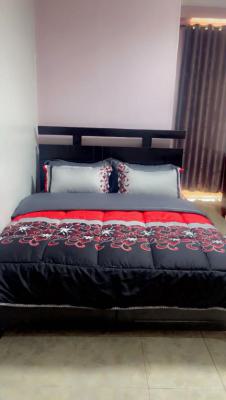Furnished Room Self Contain for Monthly Stay, Sangotedo, Ajah, Lagos, Self Contain (single Rooms) Short Let