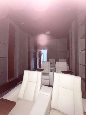 Ikoyi Luxurious 5 Bedroom Duplex with Swimming Pool, Elevator & Cinema, Ikoyi, Lagos, Detached Duplex for Sale