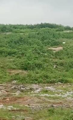 150 Hectares of Land, Katampe, Abuja, Mixed-use Land Joint Venture