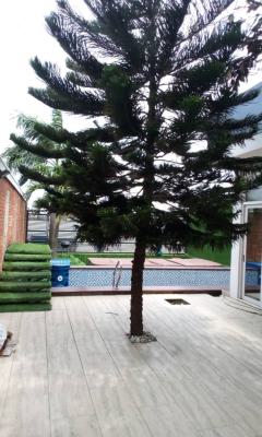 Luxurious 5 Bedroom Waterfront, Banana Island, Ikoyi, Lagos, House for Sale