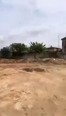 Massive Half Plot of Land with 4 Strong Document, Odunbanwo Road, Olaniyi, Abule Egba, Agege, Lagos, Residential Land for Sale