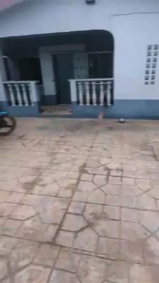 Affordable 3 Mini Flat with a Room Self, Dalemo, Alakuko, Ifako-ijaiye, Lagos, Detached Bungalow for Sale