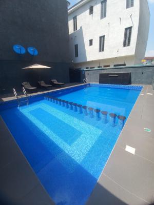 Earth Unit 2 Bedroom Apartment, Ikate Lekki, Lekki, Lagos, Mini Flat (room and Parlour) Short Let