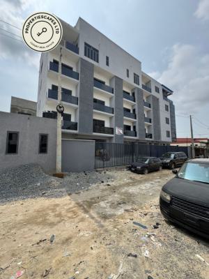 Luxuriously Finished 2 Bedroom Apartment Suitable for Investment, Lekki Phase 1, Lekki, Lagos, Flat / Apartment for Sale