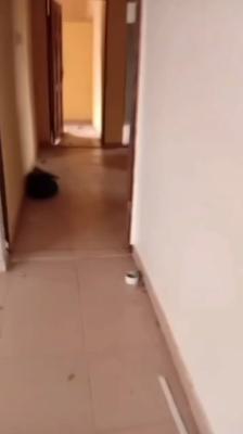 Spacious 3 Bedroom Apartment (upstairs), Mini Estate, New Oko Oba, New Oko-oba, Agege, Lagos, Flat / Apartment for Rent