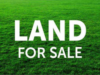 Land 950 Sqm, Surulere, Lagos, Residential Land for Sale