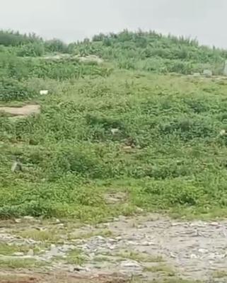 111.62 Hectares of Land (mass Housing), Guzape District, Abuja, Mixed-use Land for Sale