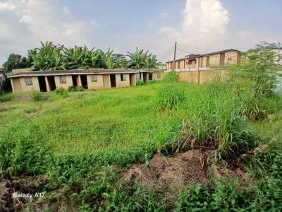 Complete 2plots in Unity Estate Egbeda Lagos, Unity Estate Egbeda Lagos, Egbeda, Alimosho, Lagos, Residential Land for Sale