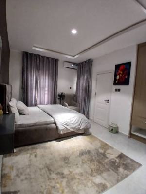 Beautifully Finished and Spacious 3 Bedroom Flat with Bq, Jahi, Abuja, House for Rent