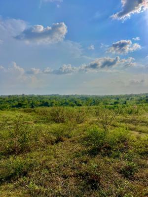 Next Generation Farm City, Cultivating Generational Wealth in Agric, Earn Passive Income Annually & Spread Payment Up to 12 Months, Abeokuta North, Ogun, Mixed-use Land for Sale