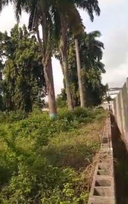 5000 Sqm of Land, Bourdillon Road, Ikoyi, Lagos, Mixed-use Land for Sale