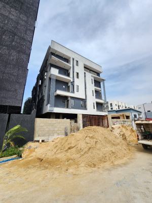 Lovely 2 Bedroom Apartment with Gym, Pool, Elevator, Ikate, Lekki, Lagos, Flat / Apartment for Sale