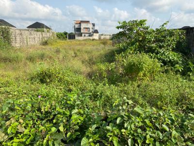 Global C of O ( Certificate of Occupancy), Abijo, Lekki, Lagos, Residential Land for Sale