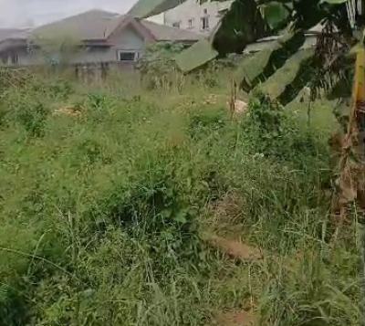 100ft By 100ft Land, Title: C of O, Ebo Community, Off Irihrhi Road, Airport Road Gra, Benin, Oredo, Edo, Land for Sale