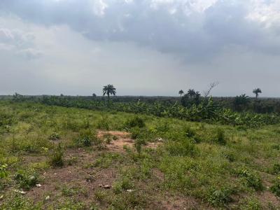 Land with Annual Income Through Oil Palm Cultivation for Free, Odolewu, Off The Epe, Ijebu Ode Expressway, Odogbolu, Ogun, Residential Land for Sale